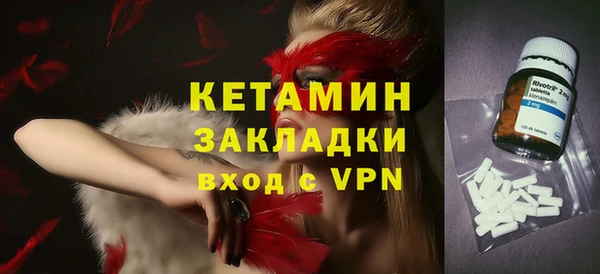 амф Ельня