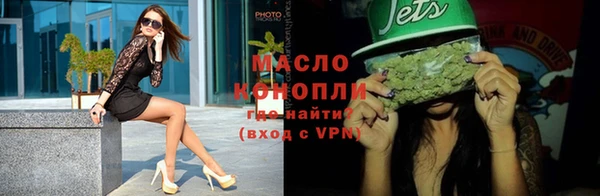 амф Ельня