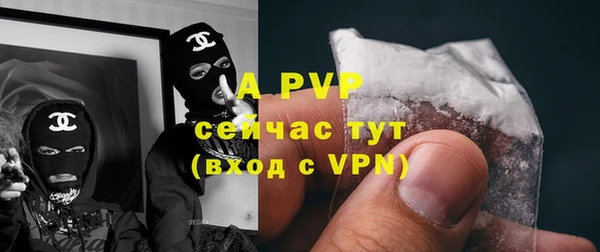 амф Ельня