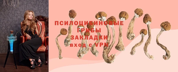 героин Елизово