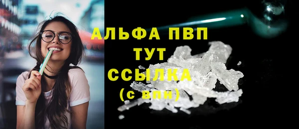 амф Ельня