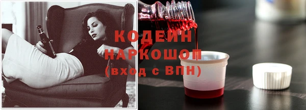 амф Ельня