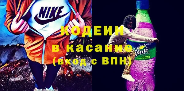 амф Ельня