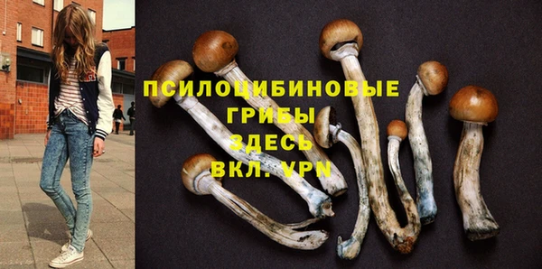 героин Елизово