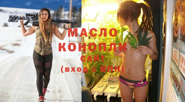 амф Ельня