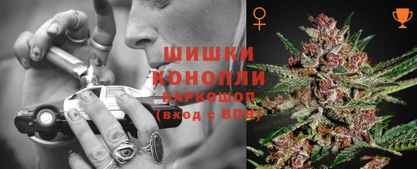 амф Ельня