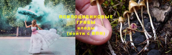 амф Ельня