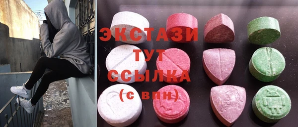 амф Ельня