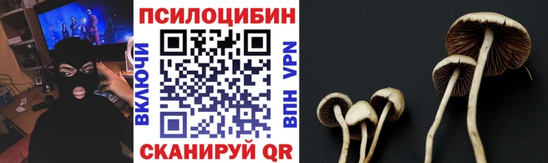 Псилоцибиновые грибы Psilocybe Купить закладки Инза